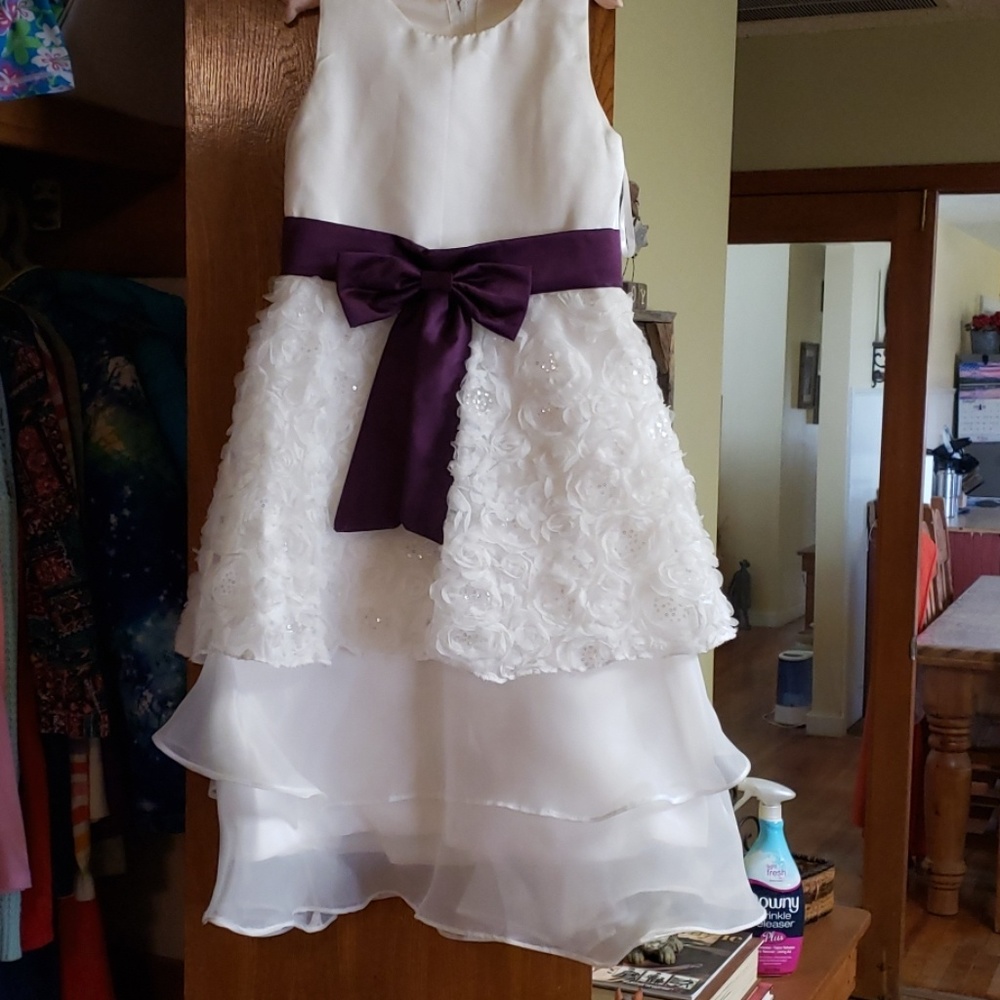Gorgeous Flower girl dress